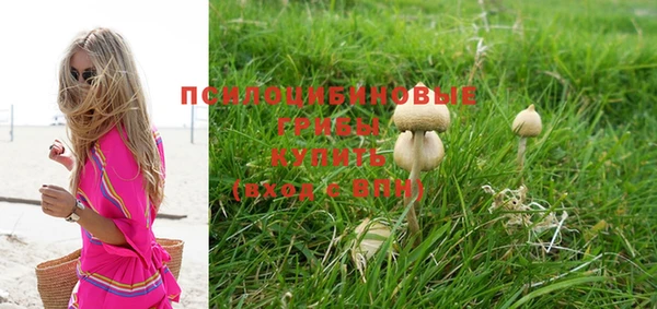 стафф Абдулино