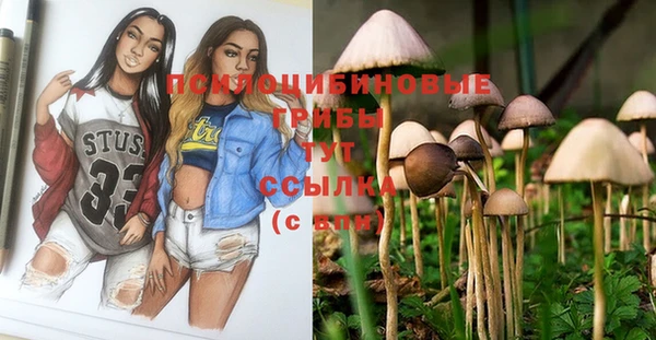 марки nbome Абаза